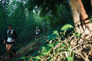 BIB: 
                            <button type="button" onclick="openModal(28124229)" class="btn btn-primary btn-sm float-right btn-popup" data-toggle="modal" data-target=".modal-high-quality">
                        <i class="fas fa-shopping-cart"></i> Add to Cart
                    </button>
                                            <button type="button" onclick="isThisMe(28124229, true)" class="btn btn-success btn-sm float-right btn-popup btn-isme hidden" data-toggle="tooltip" data-placement="bottom" title="นี่คือรูปของคุณใช่ไหม คลิกที่นี่เพื่อเอาเข้าอัลบั้ม">
                        <i class="fas fa-plus"></i> Add to album
                    </button>
                    <button type="button" onclick="isThisMe(28124229, false)" class="btn btn-warning btn-sm float-right btn-popup btn-isnotme hidden">
                        <i class="fas fa-ban"></i> Remove from album
                    </button>